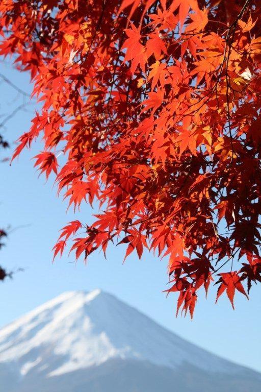 御師の家　梅谷（umeya） 別荘 *
